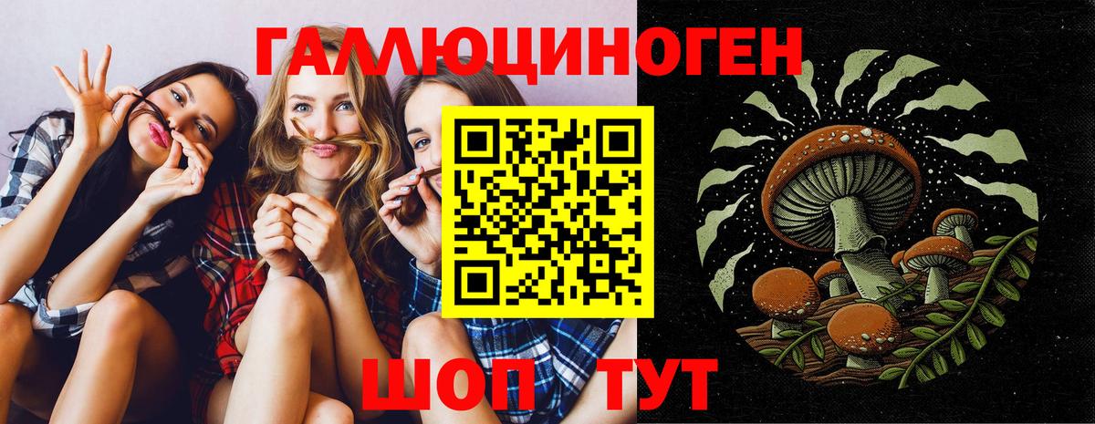 Псилоцибиновые грибы GOLDEN TEACHER Владимир