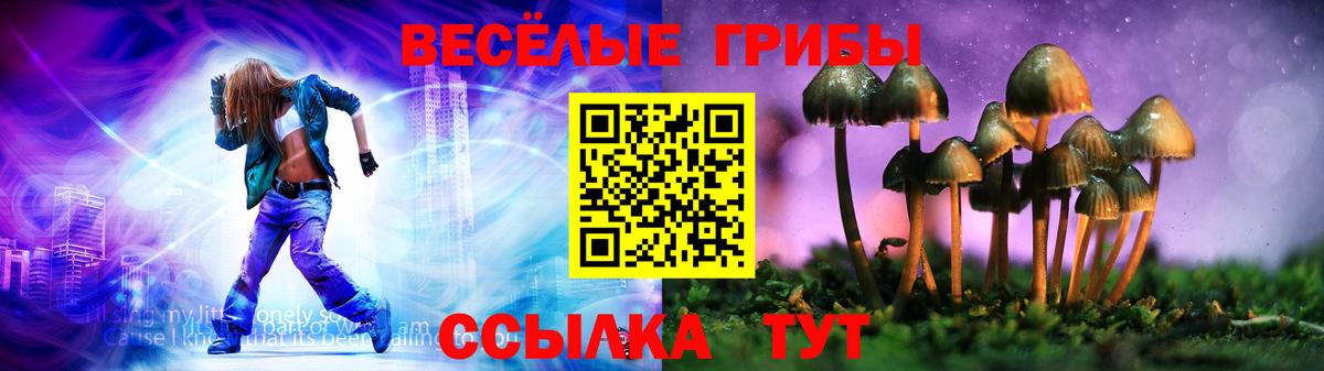 Псилоцибиновые грибы прущие грибы  Вход с VPN  Владимир  Псилоцибиновые грибы Psilocybine cubensis 