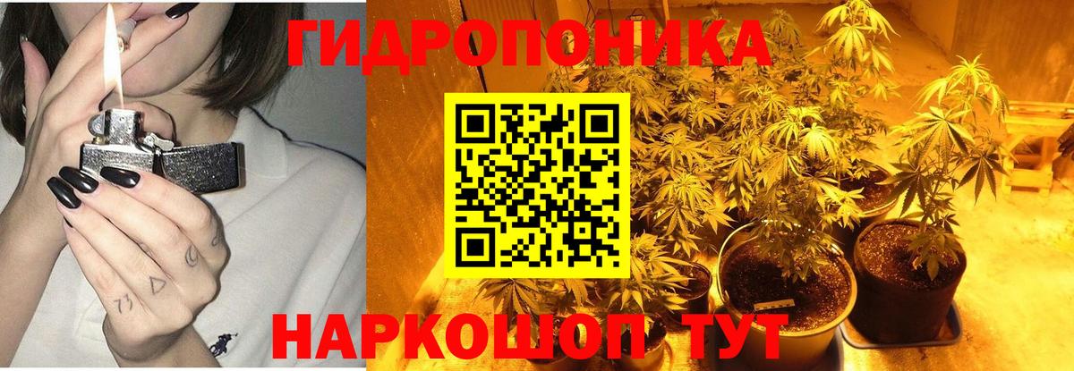 Конопля VHQ Владимир